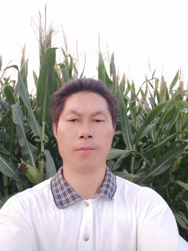 四海游龙的第二张照片--湖北中老年相亲网